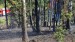 IMG-20260814-WA0003
